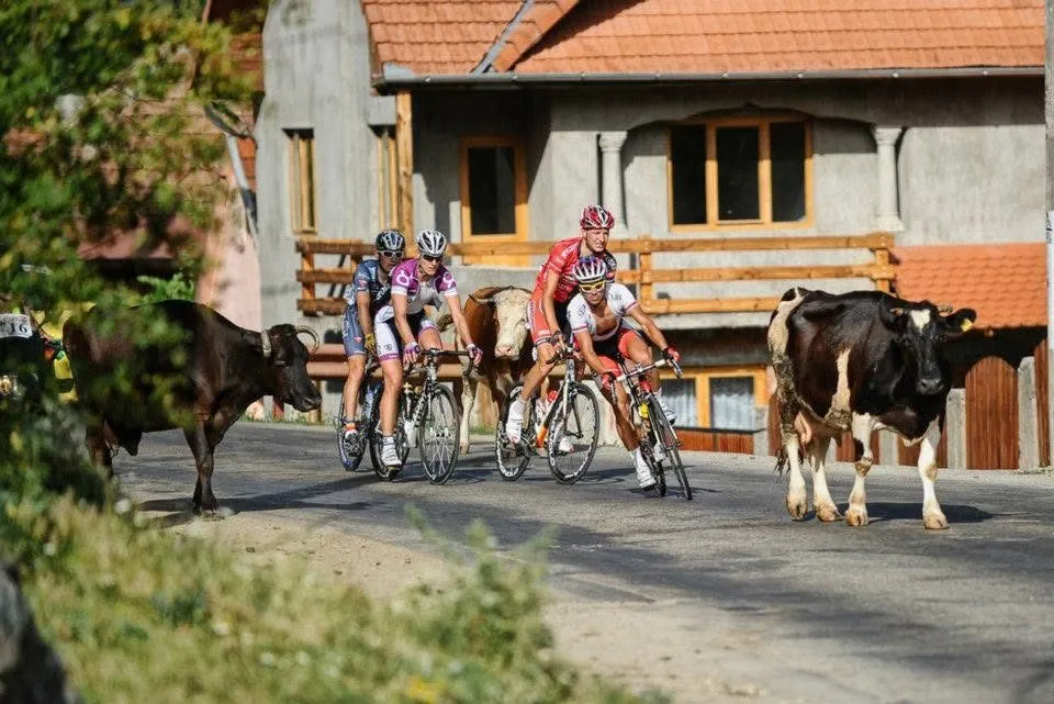 Sibiu Cycling Tour 2012 · 6